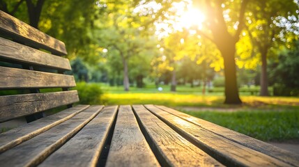 Wall Mural - Sun-Kissed Wooden Bench in a Tranquil Park