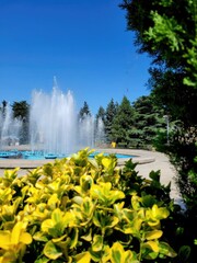 Poster - fountains in the park