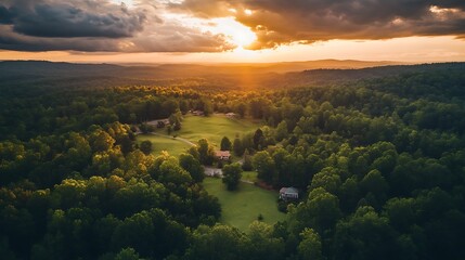 Sticker - Golden Sunset Over Green Forest with Houses