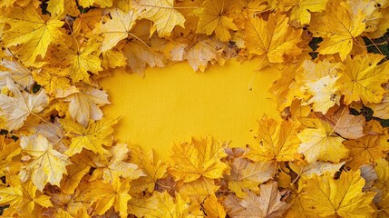 Canvas Print - Autumn leaves frame a yellow background.