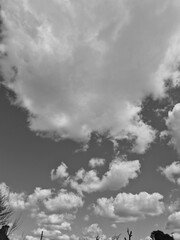 White cumulus clouds in the summer sky black and white photo background