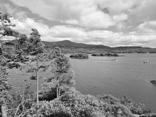 Wall Mural - Green parks and rivers in Ireland, vivid Irish landscape background, black and white monochrome grayscale photo