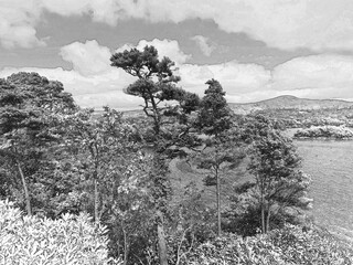 Wall Mural - Green forests and rivers in Ireland, vivid Irish landscape background, pencil drawn sketch illustration