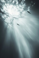 Canvas Print - Sunbeams underwater