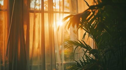 ray of sun lighting through and palm leaves and transparent curtain on window into bedroom at evening summer time. Bright morning sun in the open window through the curtains 