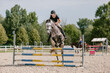 © 24K-Production - Girl rider on dapple gray horse jumping over triple bars in outdoor arena on a sunny summer day. Horse sports competition concept.