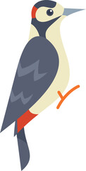 Sticker - Minimalist vector illustration of a great spotted woodpecker perching on a tree branch, in profile view