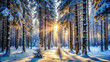 © PuriStudio - serene winter forest scene with snow covered trees and sunlight streaming through branches, creating magical atmosphere. beauty of nature is truly captivating