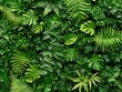 ©  Green Creator - A vertical garden filled with a variety of ferns and vines, creating a living wall of greenery