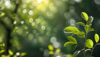 Wall Mural - Serene Abstract of Blurred Green Leaves and Sunlit Bokeh in a Tranquil Park Garden