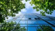 © Pannin - View from the ground up of a modern glass building surrounded by greenery. Trees and bushes complement the eco-friendly architecture of the office, merging nature with design.