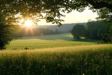 Canvas Print - Sunrise over green meadow with trees and hills in the background