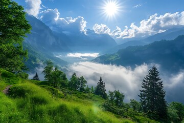 Poster - Sunny mountain landscape with clouds, green grass, and trees