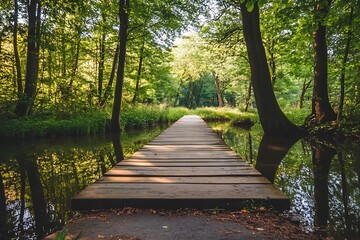 Sticker - Wooden Bridge Over a Stream in Lush Green Forest