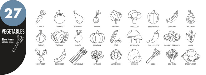 Vegetables editable stroke thin line icons set. Tomato, cucumber, onion, pumpkin, pepper, eggplant, zucchini, avocado, spinach, peas, corn, garlic, lettuce, mushroom, potato, vector illustration