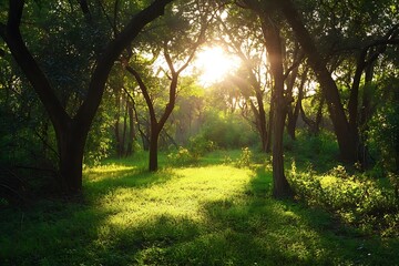 Sticker - Golden Sunlight Streaming Through Trees in Lush Green Forest