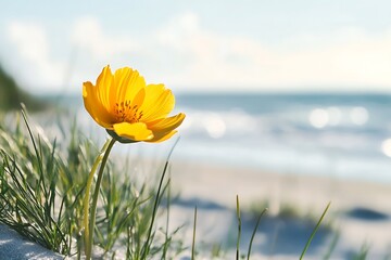 Sticker - Single yellow flower blooming in the sand near the ocean