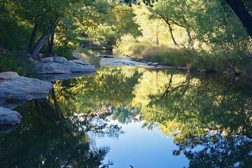 Sticker - Tranquil Stream with Reflections of Trees and Blue Sky