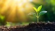 © lime - Sprouting Success in the Business Landscape: Cultivating Ideas for Sustainable Market Dominanceビジネス環境で成功を芽生えさせる: 持続可能な市場支配のためのアイデア育成.Generative AI