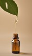© akkash vertical - bottle dripping glass olated oil beige essential leaf  green nobody relaxation nature herbal leaf flora floral health healthy natural medicine health care medicals care herb aromatic traditional
