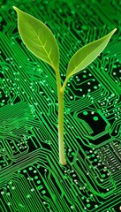 chip organic computer green sprout background technologies digital created  technology plant agriculture green concept environment ecology science nature digital background organic leaf farm biology