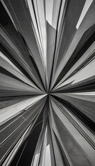 Wall Mural - monochromatic order shapes abstract representing panorama background interplay lines symphony chaos 