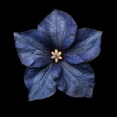 Poster - Stunning dark blue flower with golden center