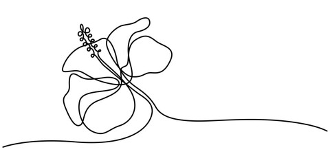 Hibiscus Flower Continuous Line Drawing with Editable Stroke, One continuous line drawing of hibiscus flower. Floral abstract symbol in simple linear style. Organic red herbal tea concept in editable
