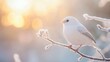 © tashechka - A small white bird sits delicately on a frosted branch with a soft sunrise glow illuminating the cold winter morning