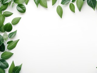 eco decorative green leaves with copy space on white background.