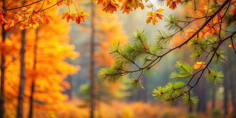 Wall Mural - Branches with autumn leaves against a blurred pine forest background, autumn, leaves, branches, pine forest, blurred, nature, seasonal