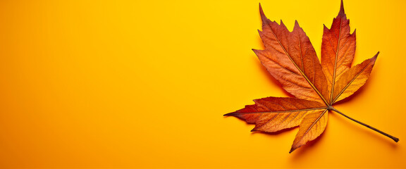 Poster - Autumn Leaf on Yellow Background