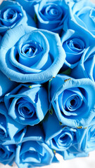 Sticker - Close Up of Light Blue Roses