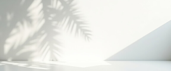 Canvas Print - White Wall with Palm Leaf Shadow and Empty Space