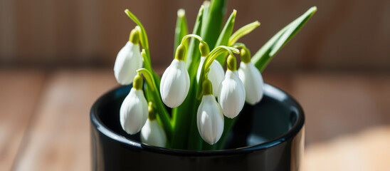 Wall Mural - Snowdrops in a Black Vase