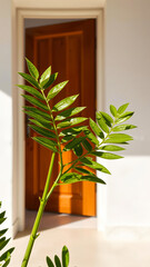 Poster - Green plant leaves in front of a wooden door