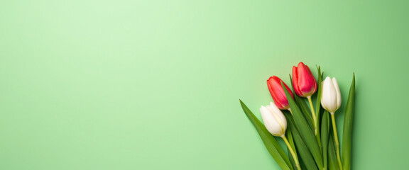 Poster - Red and white tulips on a green background