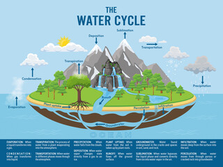 water cycle infographic. ecosystem concept. water recycle, evaporation, condensation ecology diagram