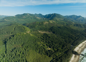 A lush green forest with a mountain range in the background