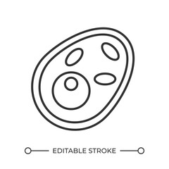 Poster - Biological cell linear icon. Microscopic nucleus. Microorganism. Life science. Educational, medical concept. Thin line illustration. Contour symbol. Vector outline drawing. Editable stroke