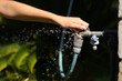 © Antonioguillem - Woman hand opening hose faucet with water leak in a garden