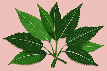 Vibrant Neem Leaves Artwork Highlighting Natural Freshness and Beauty in India