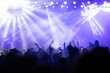 © erika8213 - Crowd at concert and colorful stage lights.