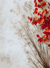 Canvas Print - Dried Flowers and Branches on a White Background