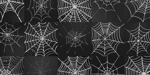 A close-up shot of a intricate spider web