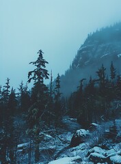 Sticker - Winter Foggy Forest Landscape With Snow And Trees