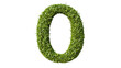 © Sofiia Bakh - 'O' letter created from green grass on transparent background