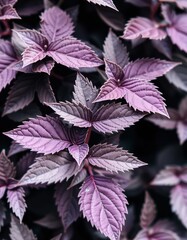 Wall Mural - red and green leaves