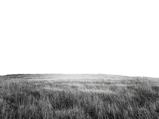 black and white landscape of a grassy field under a serene sky.
