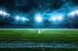 © Hamza - Stadium under silver floodlights, the field gleaming under the bright light